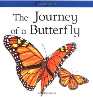 The Journey of a Butterfly
