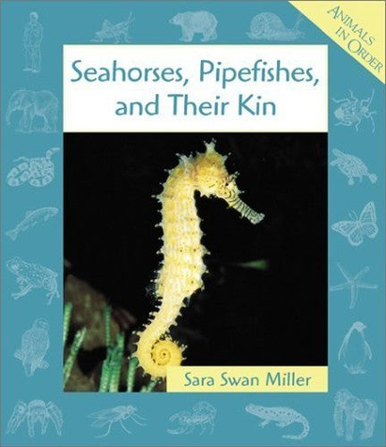 Seahorses, Pipefishes, and Their Kin