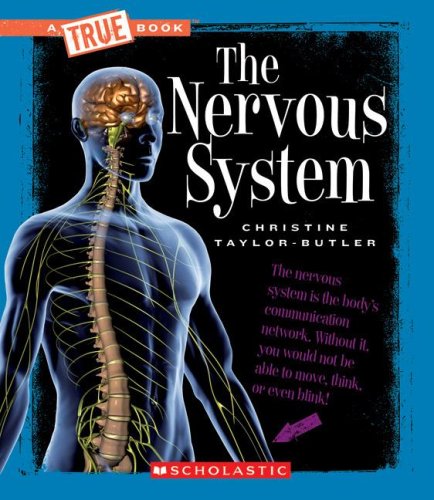 The Nervous System