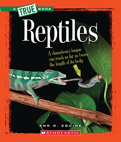 Reptiles (a True Book: Animal Kingdom)