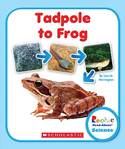 Tadpole to Frog