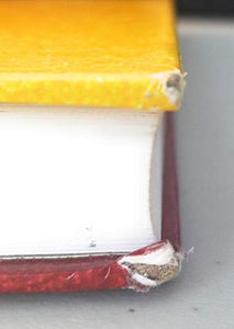 Counseling and Psychotherapy 