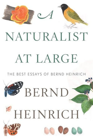 A Naturalist At Large, A
