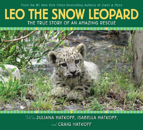 Leo the Snow Leopard