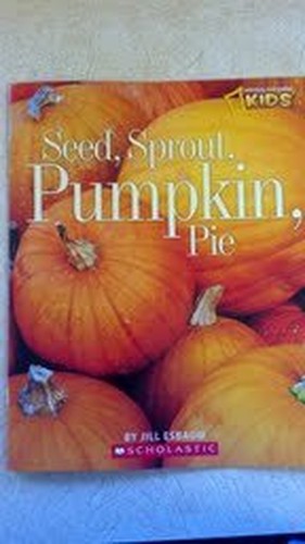 Seed, Sprout, Pumpkin, Pie