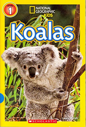 Koalas National Geographic Kids