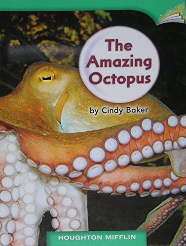 The Amazing Octopus