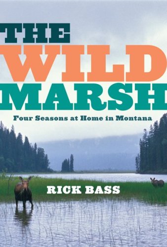 Wild Marsh
