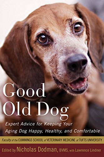 Good Old Dog