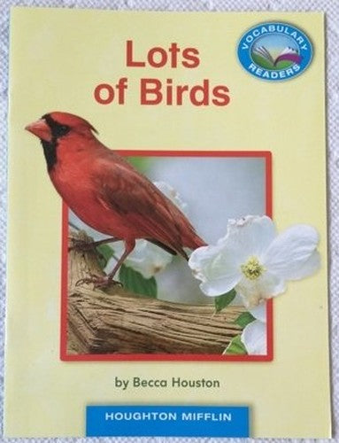 Lots of Birds Vocabulary Leveled Reader Level B DRA 2