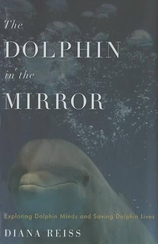 The Dolphin in the Mirror
