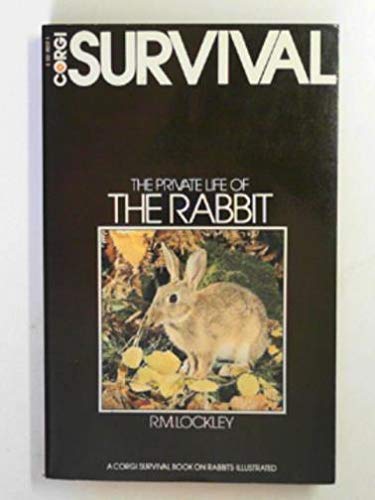 Private Life of the Rabbit