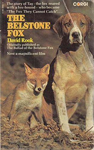 The Belstone fox