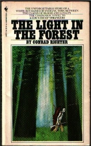 Light in the Forest