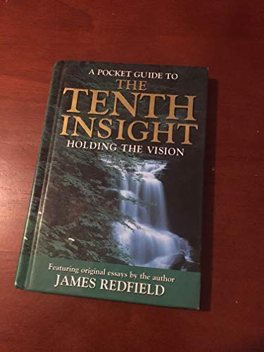 Tenth Insight - Holding the Vision