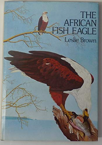 African Fish Eagle