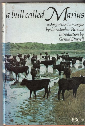 Bull Called Marius