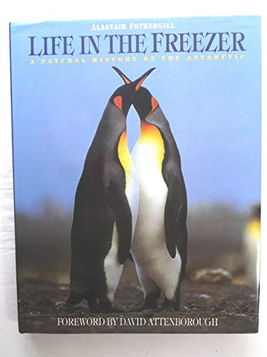 Life in the Freezer
