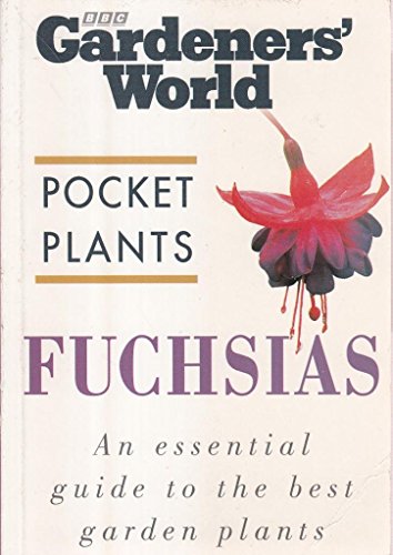 Fuchsias