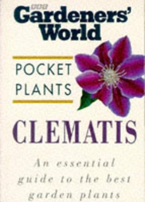 Clematis