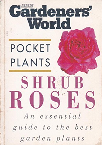 Shrub Roses