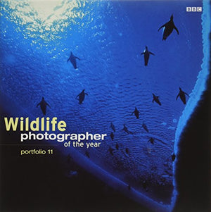 Wildlife Photographer Of The Year Portfolio 11