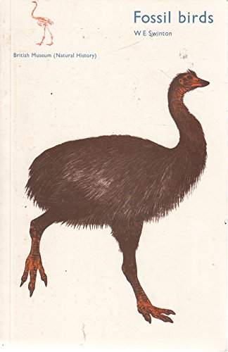Fossil Birds