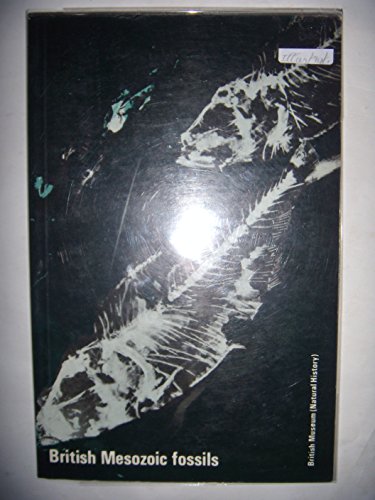 British Mesozoic Fossils