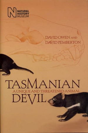 Tasmanian Devil