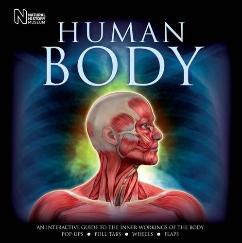 Human Body