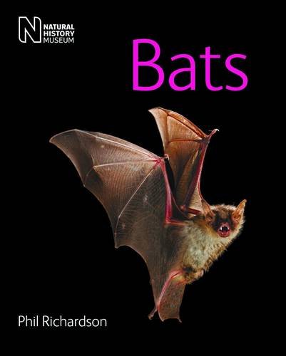 Bats
