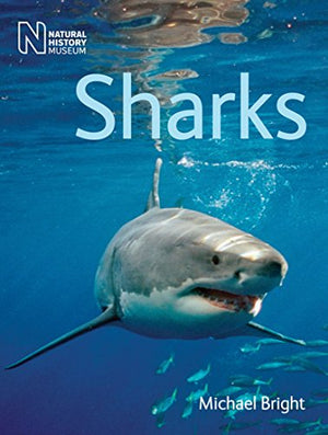 Sharks