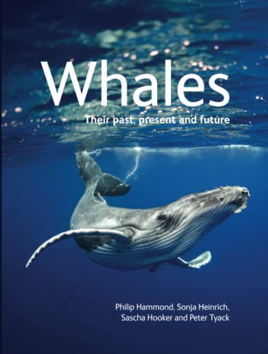 Whales