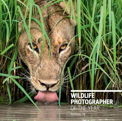 Wildlife Photographer of the Year: Portfolio 28