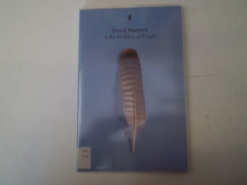 A Bird's Idea of Flight