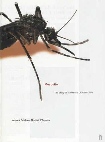 Mosquito