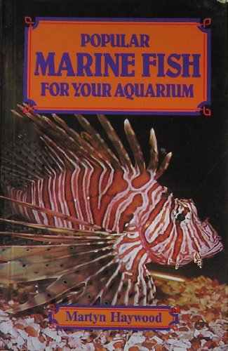Popular Marine Fish for Your Aquarium
