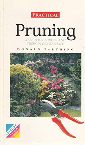 Practical Pruning