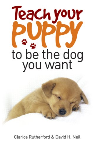 Teach Your Puppy to be the Dog You Want