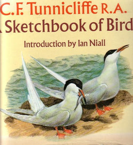 A Sketchbook of Birds 