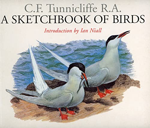 Sketchbook of Birds
