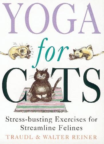 Yoga For Cats
