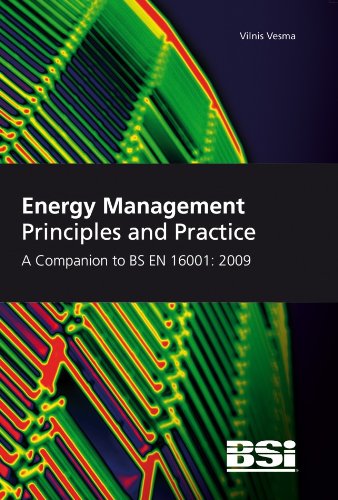 Energy Management Principles and Practice. A Companion to BS EN 16001