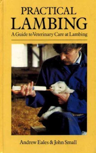 Practical Lambing