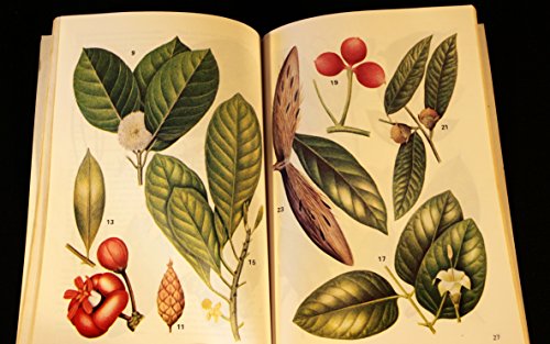 West African Trees