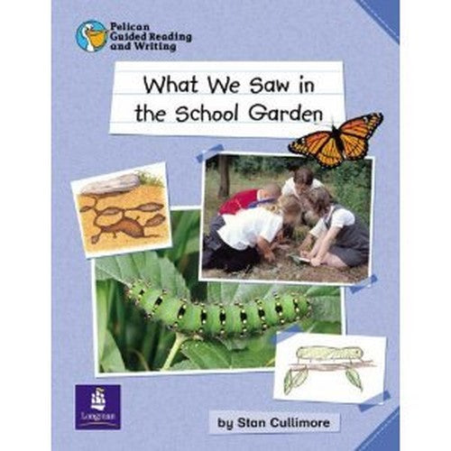 Pelican Guided Reading and Writing Year 1 What We Saw In The School