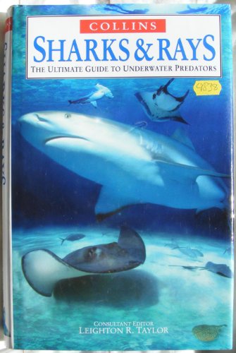 Sharks  Rays The Ultimate Guide To Underwater Predators