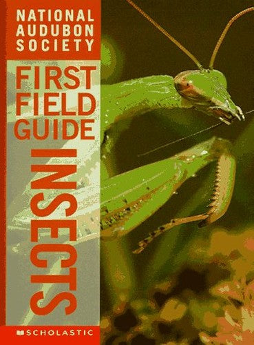 Insects