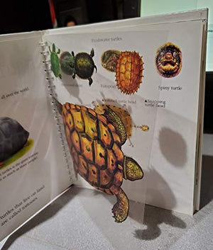 Turtles and Snails