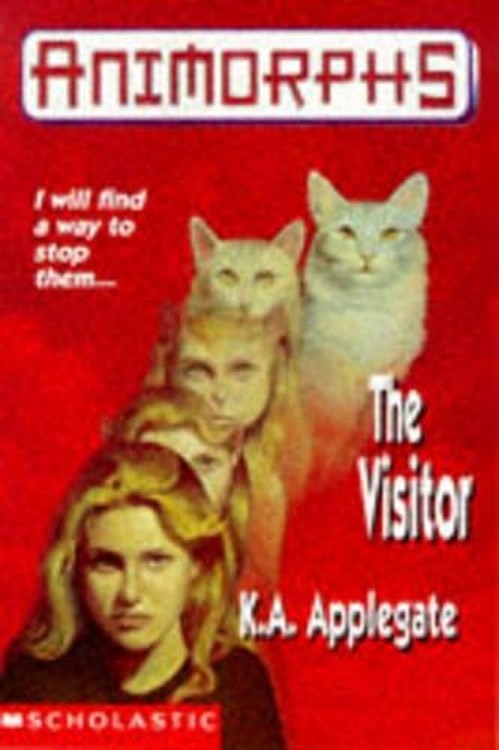 The Visitor